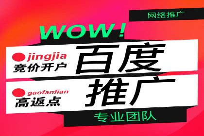 百度推广的精准营销案例解析